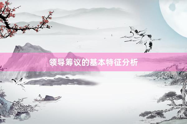 领导筹议的基本特征分析