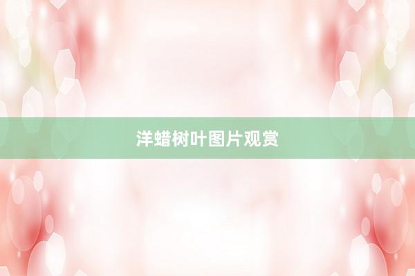 洋蜡树叶图片观赏